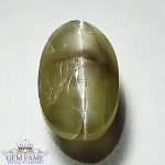 Chrysoberyl Cat's Eye