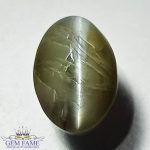 Chrysoberyl Cat's Eye