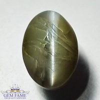 Chrysoberyl Cat's Eye