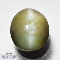 Chrysoberyl Cat's Eye