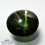 Diopside Cat's Eye