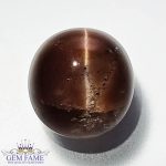 Scapolite Cat's Eye 7.55ct Gemstone India
