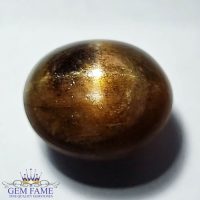 Star Iolite Sunstone