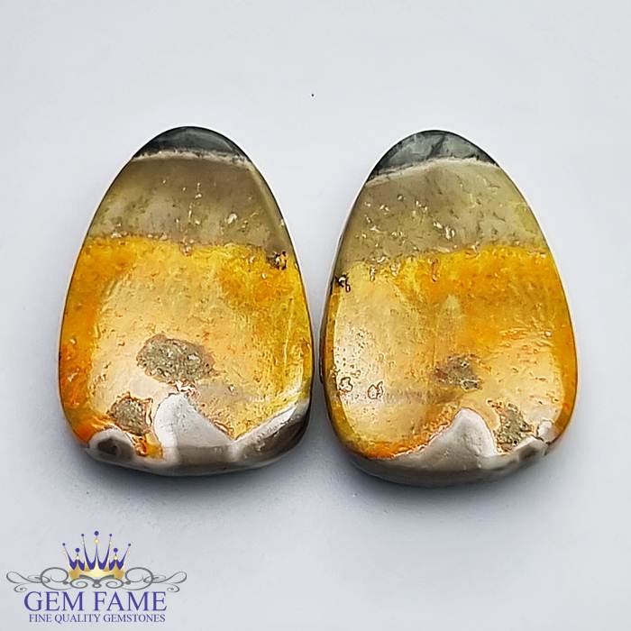 Bumble Bee Jasper