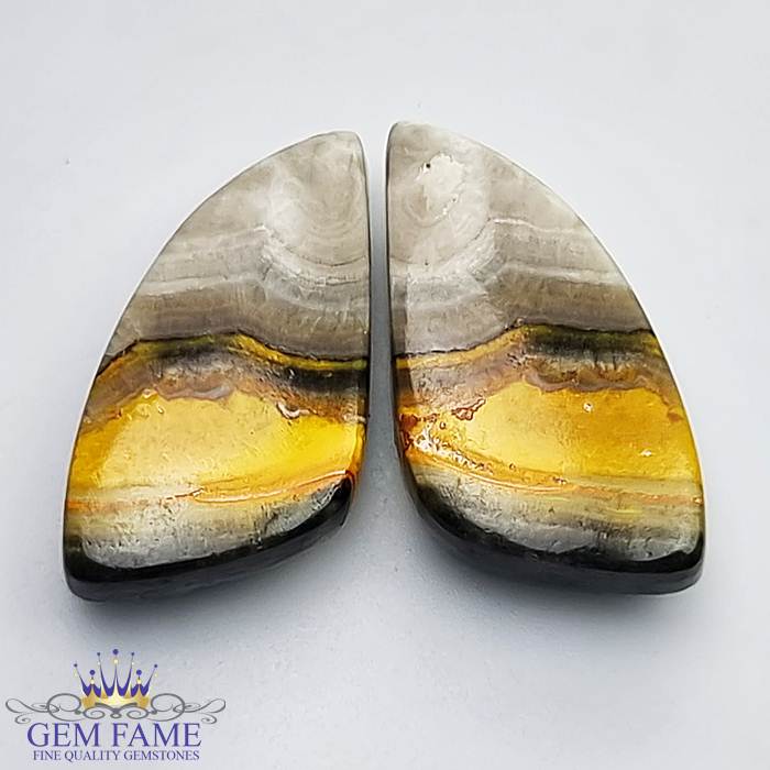 Bumble Bee Jasper