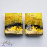 Bumble Bee Jasper