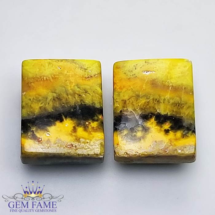 Bumble Bee Jasper