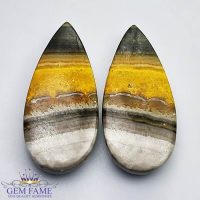 Bumble Bee Jasper