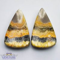 Bumble Bee Jasper