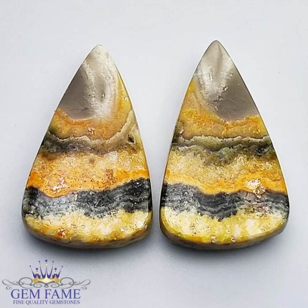 Bumble Bee Jasper