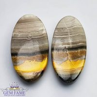 Bumble Bee Jasper