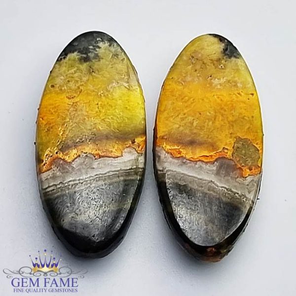 Bumble Bee Jasper