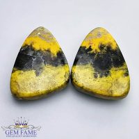 Bumble Bee Jasper