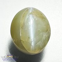 Chrysoberyl Cat's Eye