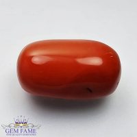 Coral (Moonga) Gemstone 13.46ct