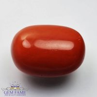 Coral (Moonga) Gemstone 17.56ct