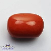 Coral (Moonga) Gemstone 14.40ct