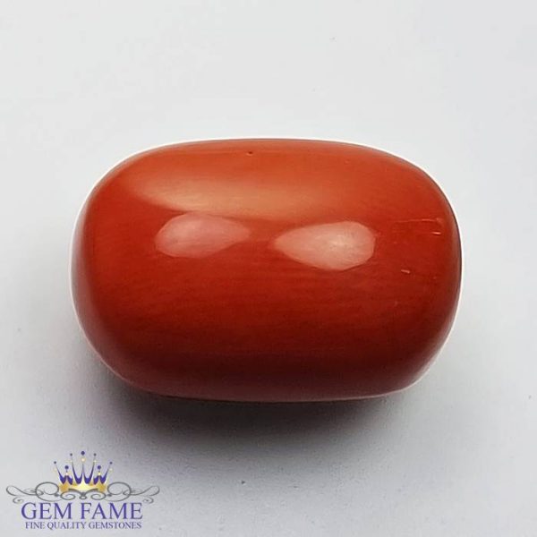 Coral (Moonga) Gemstone 14.40ct