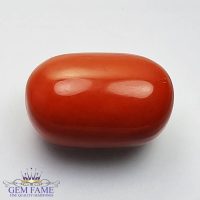 Coral (Moonga) Gemstone 16.71ct