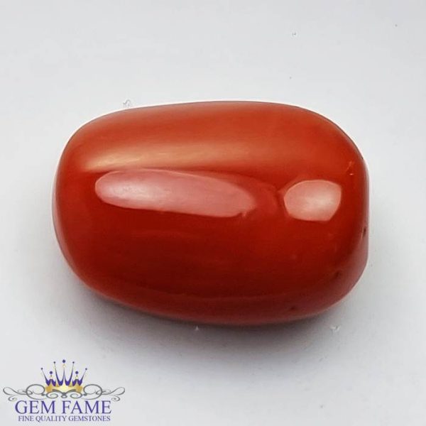 Coral (Moonga) Gemstone 18.88ct Italy