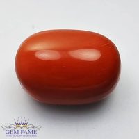 Coral (Moonga) Gemstone 14.58ct