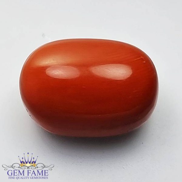 Coral (Moonga) Gemstone 14.58ct