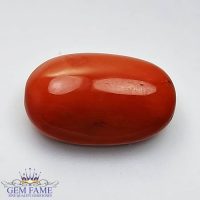 Coral (Moonga) Gemstone 13.42ct