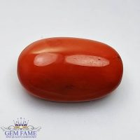 Coral (Moonga) Gemstone 13.42ct