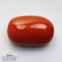 Coral (Moonga) Gemstone 12.84ct