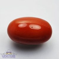 Coral (Moonga) Gemstone 20.82ct Italy