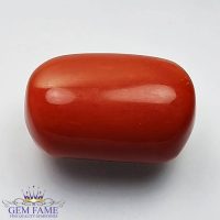 Coral (Moonga) Gemstone 16.80ct Italy