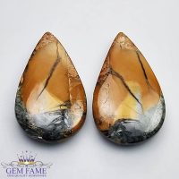 Jasper 25.54ct (Pairs) Gemstone Indonesia