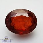Spessartite Garnet Gemstone 9.65ct Mozambique