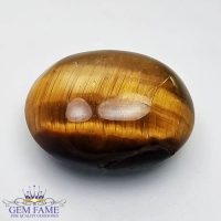 Tiger's Eye