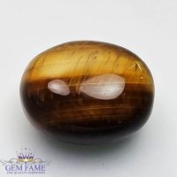 Tiger's Eye