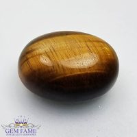 Tiger's Eye