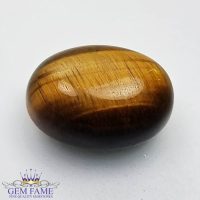 Tiger's Eye