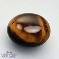 Tiger's Eye