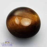 Tiger's Eye