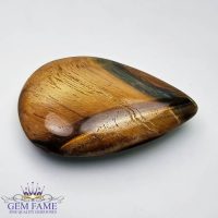 Tiger's Eye