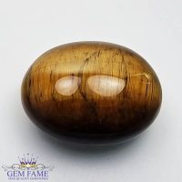 Tiger's Eye