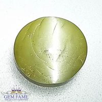 Chrysoberyl Cat's Eye