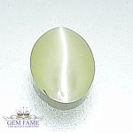 Chrysoberyl Cat's Eye