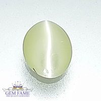 Chrysoberyl Cat's Eye