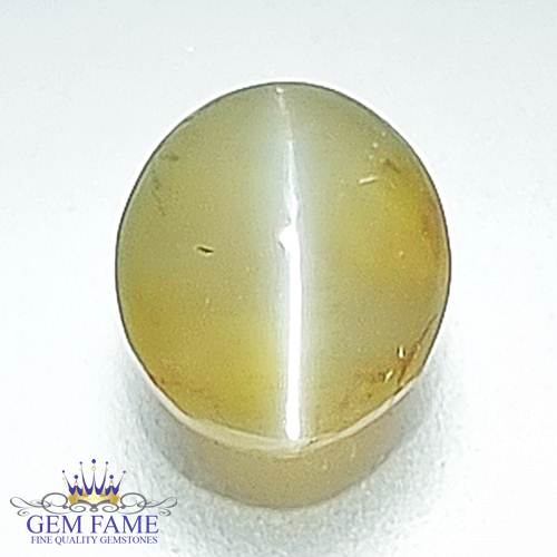 Chrysoberyl Cat's Eye