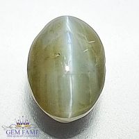 Chrysoberyl Cat's Eye