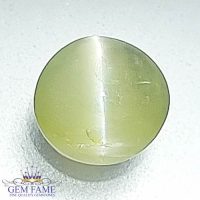 Chrysoberyl Cat's Eye