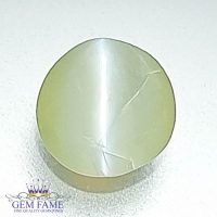 Chrysoberyl Cat's Eye