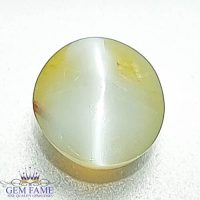 Chrysoberyl Cat's Eye