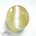 Chrysoberyl Cat's Eye
